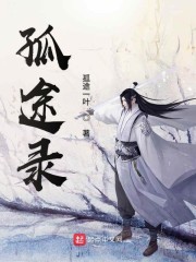 孤途录