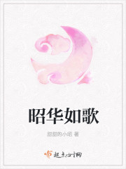 昭华如歌