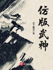 仿版武神