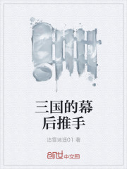 三国的幕后推手