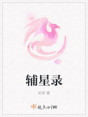 辅星录