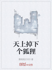 天上掉下个狐狸