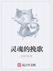 灵魂的挽歌