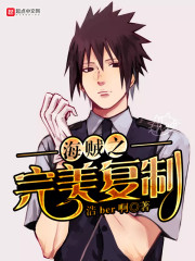 海贼之完美复制