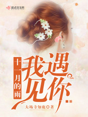 十一月的雨我遇见你