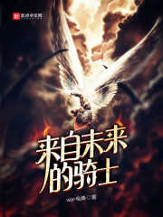 来自未来的骑士