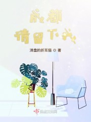 成都，请留下我