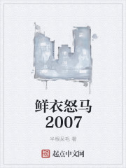 鲜衣怒马2007