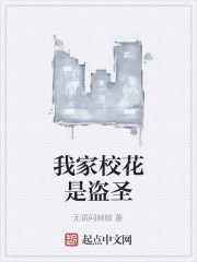 我家校花是盗圣