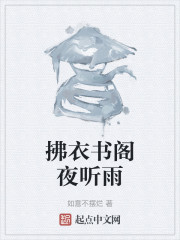拂衣书阁夜听雨