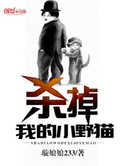 杀掉我的小野猫