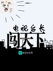 电视台长闯天下