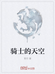 骑士的天空