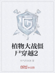 植物大战僵尸，穿越2