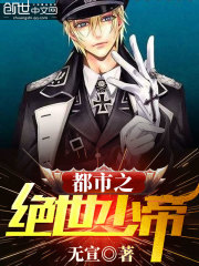 都市之至尊少帅