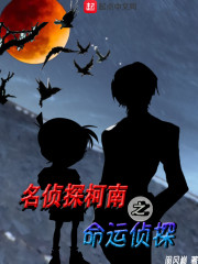 名侦探柯南之命运侦探