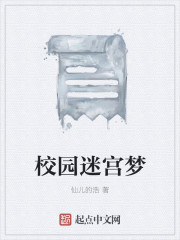校园迷宫梦