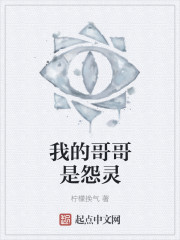 我的哥哥是怨灵