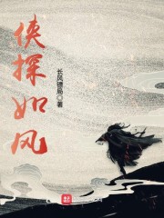 侠探如风