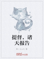 提督，诸天报告