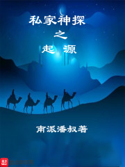 私家神探之起源