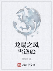 龙赐之风雪逆旅