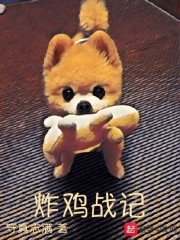 茶杯犬的炸鸡物语