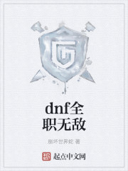 dnf全职无敌