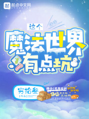 这个魔法世界有点坑