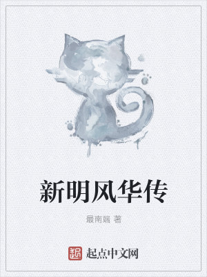 新明风华传