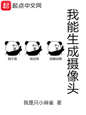 我能生成摄像头