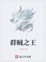 群贼之王