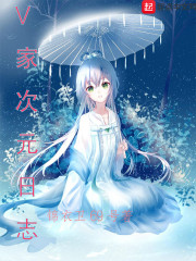 V家次元日志