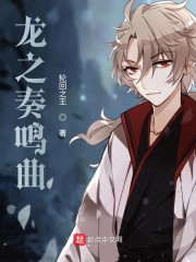龙之奏鸣曲