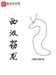 西汉窃龙