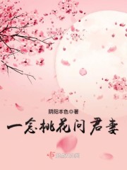 一念桃花问君妻