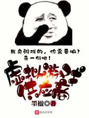虚拟游戏供应商