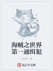 海贼之世界第一通缉犯