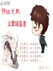 霸总火葬场追妻