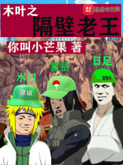 木叶之隔壁老王