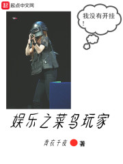 娱乐之菜鸟玩家