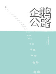 企鹅公路
