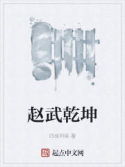 赵武乾坤