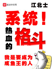 系统，热血的格斗