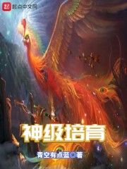 神级培育