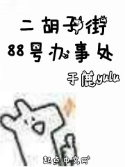 二胡子街88号办事处