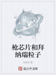 枪芯片和拜纳瑞粒子