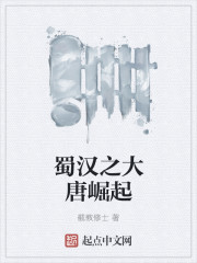 蜀汉之大唐崛起