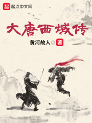 大唐西域传