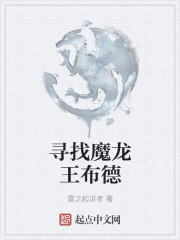 寻找魔龙王布德